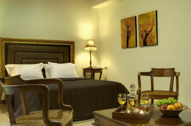 Iatrou Guesthouse Portariá Oda fotoğraf