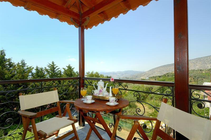 Iatrou Guesthouse Portariá Oda fotoğraf