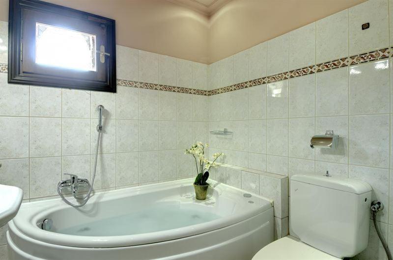 Iatrou Guesthouse Portariá Oda fotoğraf