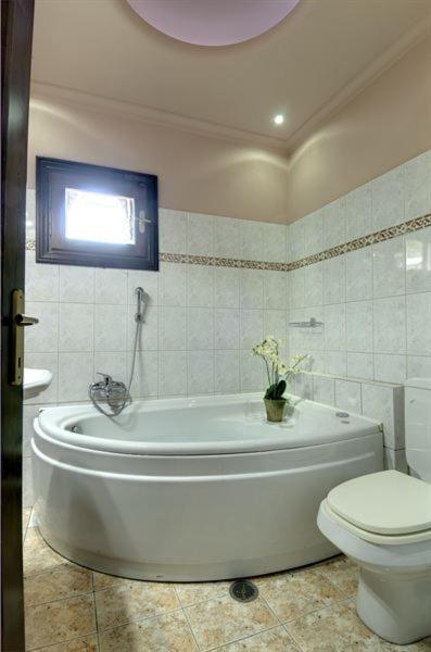 Iatrou Guesthouse Portariá Oda fotoğraf