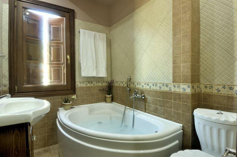Iatrou Guesthouse Portariá Oda fotoğraf